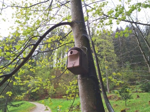 Vogelnistkästen - Schwazer Silberwald