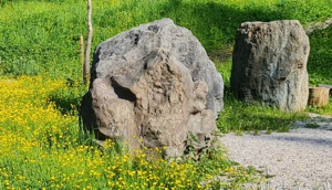 Steingesicht Schwazer Silberwald