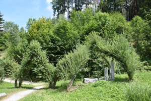 Elfenarchitektur Schwazer Silberwald 