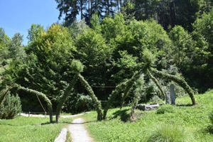 Elfenarchitektur Schwazer Silberwald