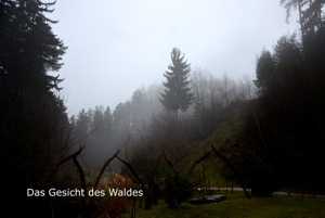 Loorien Akademie Schwaz Schwazer Silberwald 