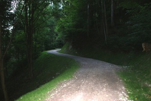 Loorien Akademie Schwaz Schwazer Silberwald 