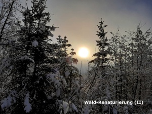 Loorien Akademie Schwaz Schwazer Silberwald 