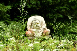 weisser Buddha Silberwald