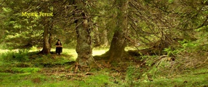 Loorien Akademie Schwaz Silberwald