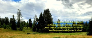 Loorien Akademie Schwaz