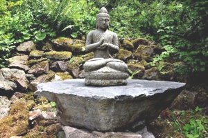 schwarzer Buddha Siberwald