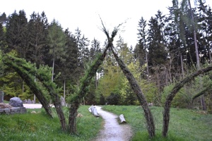 Elfen Architektur Weisenbögen Silberwald