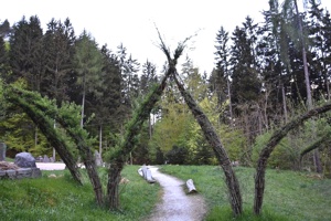 Elfen Architektur Weisenbgen Silberwald