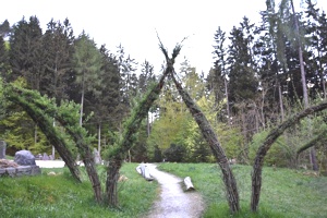 Elfenarchitektur Schwazer Silberwald