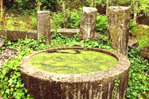 Elfenbrunnen Schwazer Silberwald 