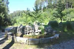 Faun Ruine Schwazer Silberwald