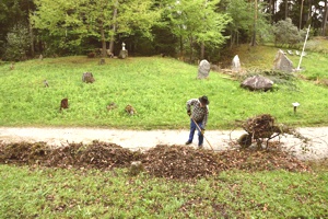 Laubrechenarbeiten Schwazer Silberwald 