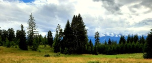 Loorien Akademie Schwaz - Schwazer Silberwald