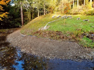 Mondweiher Schwazer Silberwald 