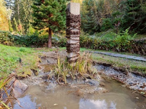 Mondweiher Schwazer Silberwald
