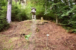 Rodungsarbeiten Schwazer Silberwald