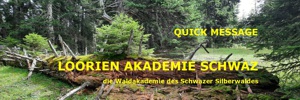 Loorien Akademie Schwaz - Schwazer Silberwald 