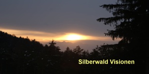 Silberwald Visonen - Schwazer Silberwald